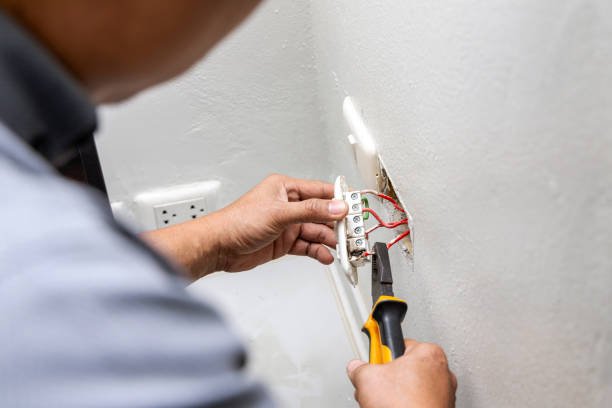 Best Licensed Electrician  in Delevan, NY